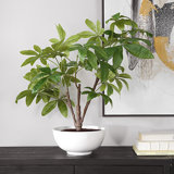 Zoelle Tree
