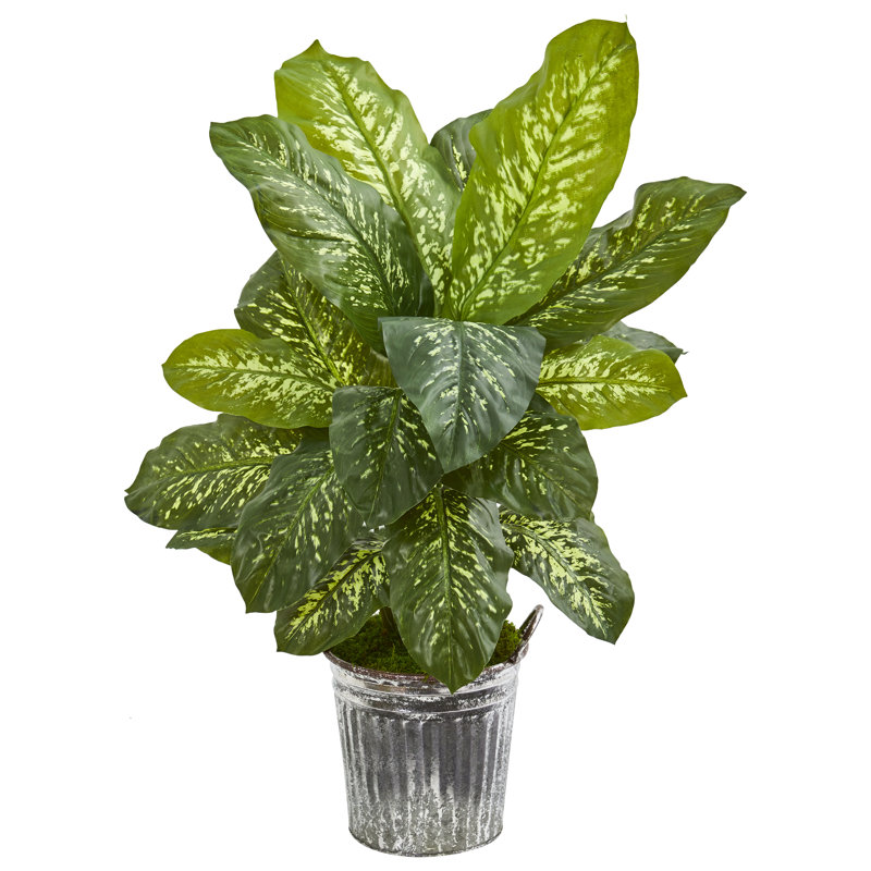Plante dieffenbachia artificielle en pot de fleurs