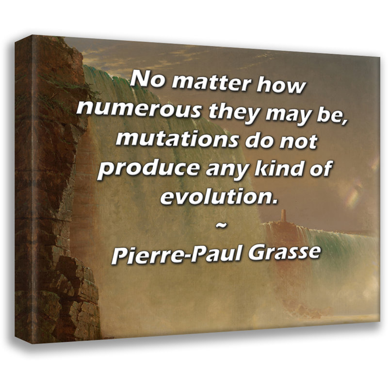 Toile tendue d'ArtsyQuotes par Pierre-Paul Grasse: "Peu importe leur nombre, les mutations ne produisent aucune sorte d'évolution."