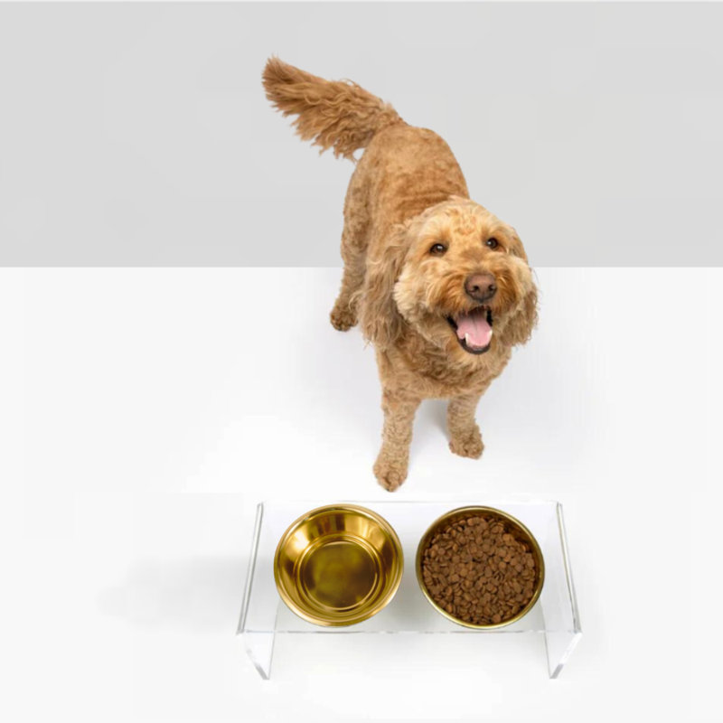 Medium Clear Double Pet Feeder with Black Bowls, (6.5 cups/48 fluid oz), Gold