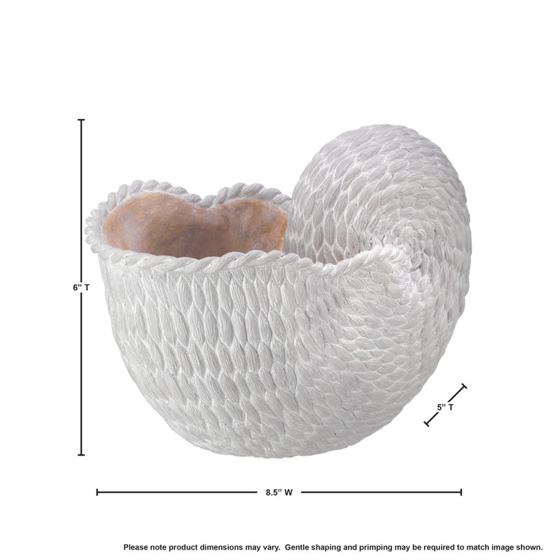 Anjae 'Fabric Weave' Nautilus Shell