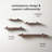Raven Solid Mango Wood Wall Mounted Shelves