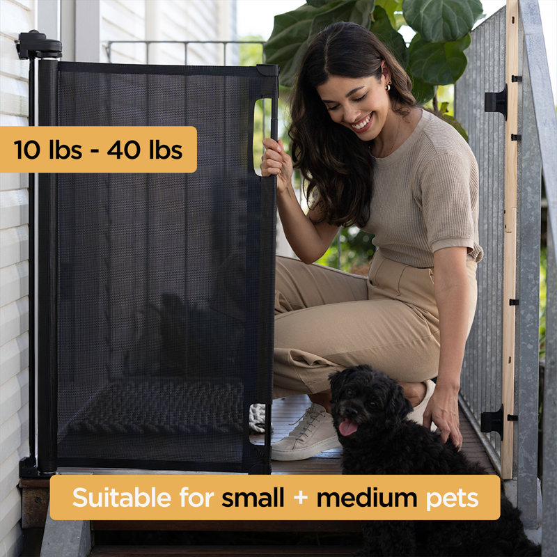 Barrière murale en plastique pour animaux Dekoda, Gris