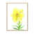 Toile naturelle avec cadre flottant