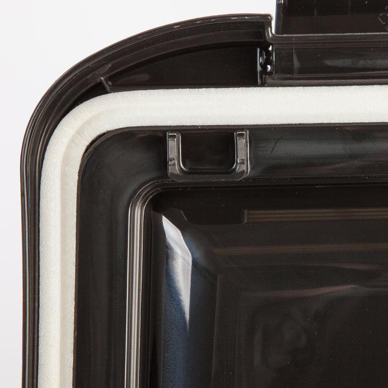 IRIS Plastic Food Storage Container