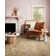 Febbas Performance Oriental Indoor Rug