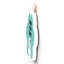 Gruia Wall Decor