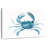 Brampt Marine Blue Crab-107845287