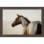 Equestrian Gaze Small by Nathan Turner