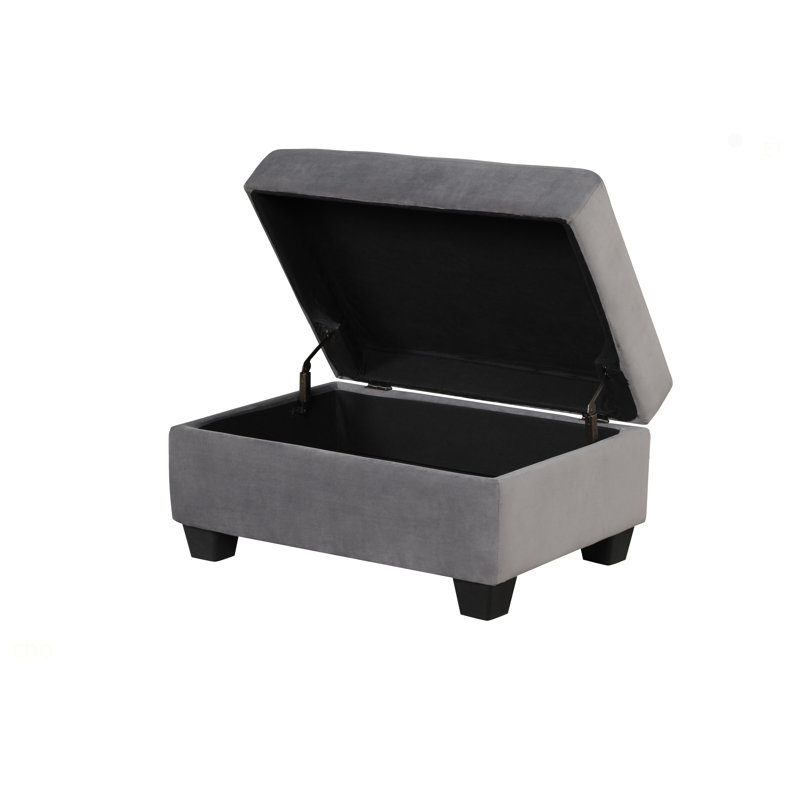 Repose-pieds contemporain avec rangement en velours gris Velvet Upholstery, Gris