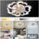 Ceiling Fan with LED Lights