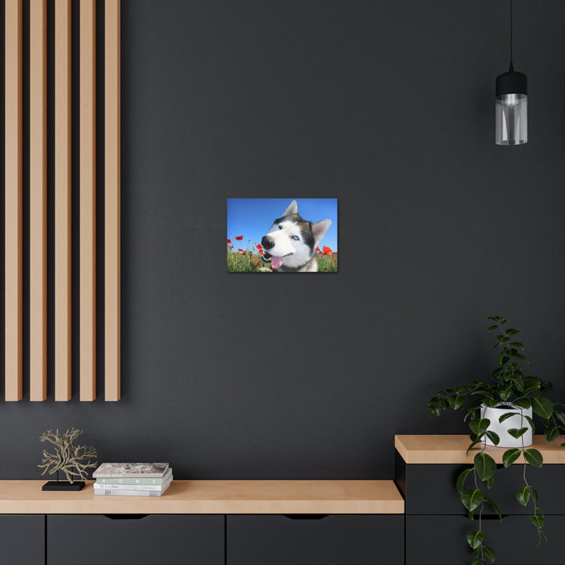 Drôle de Husky de Sibérie, H 12 po x l 16 po
