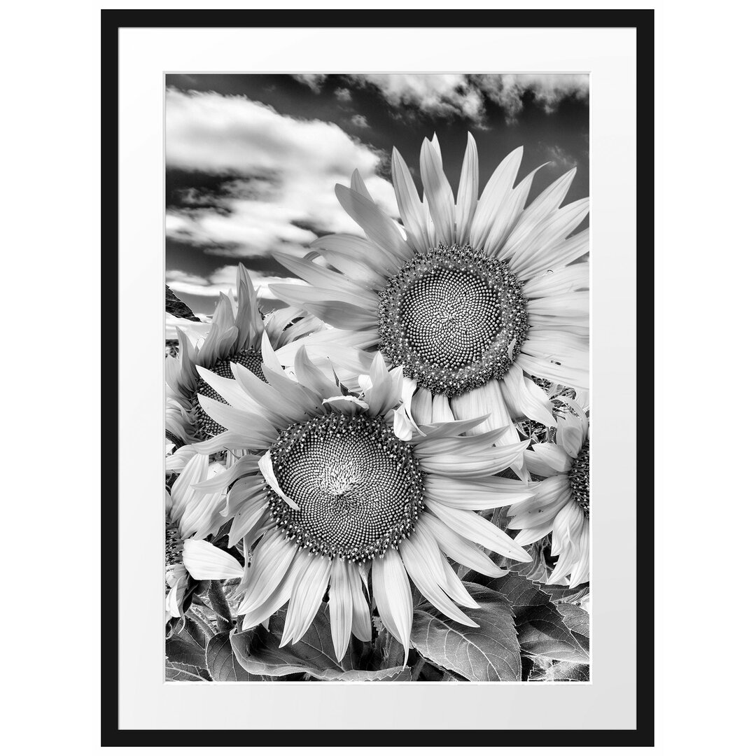 Gerahmtes Poster Sonnenblumenwiese unter Himmel