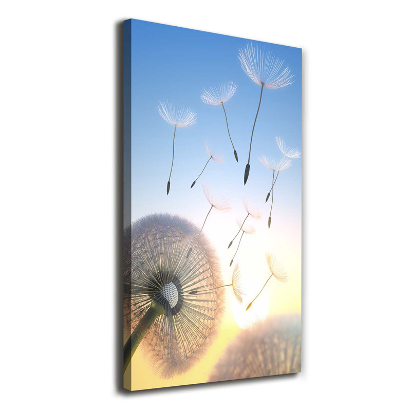 Dandelion - Wrapped Canvas Print