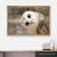 «Bird Bird Curious Owl Look» (Tyto Albahead), tête en gros plan sur toile-119598470-93629227-93629226