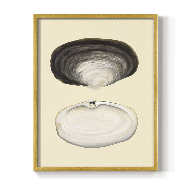 Reproduction encadrée de coquilles bivalves II - bois massif, H 15 po x l 12 po, Doré