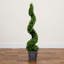 45 plantes