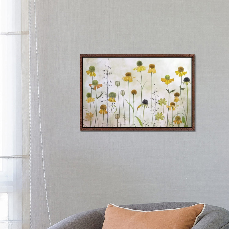 Helenium by Mandy Disher - Print on Canvas, Classic Brown Wood Framed, 45.72cm H x 66.04cm W x 3.81cm D