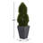 48" H UV Resistant Artificial Ivy Spiral Topiary Tree