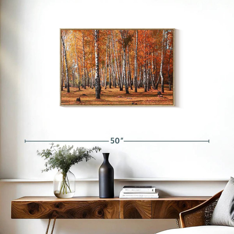 Forêt de bouleaux en automne, Cadre flottant en bois naturel, 31 po x 21 po