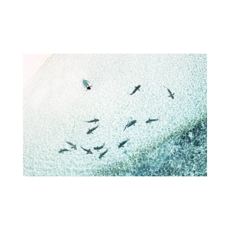 Aerial Shoreline Sharks With Swimmer by James Vodicka - Wrapped Canvas Print, 20.32cm H x 30.48cm W x 1.905cm D
