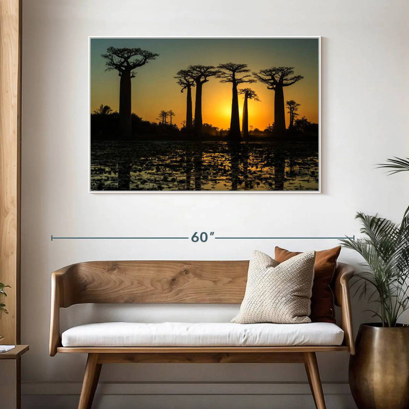 Silhouette de baobabs de Morondava, 46 po x 31 po, Cadre flottant blanc