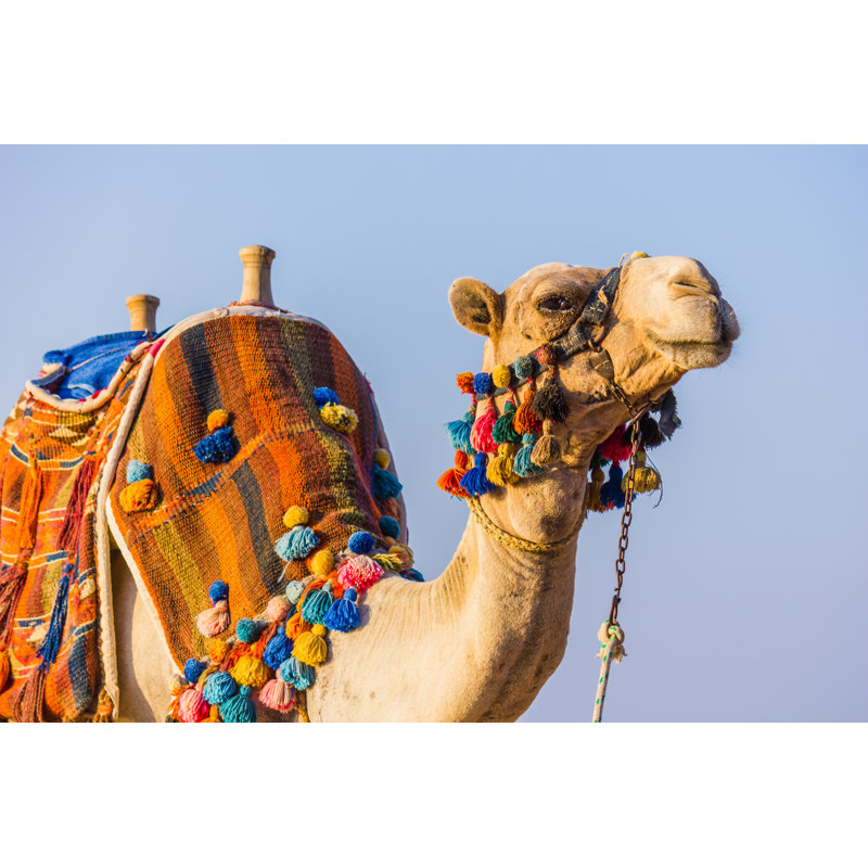 " African Camel ", 36" W x 24" H