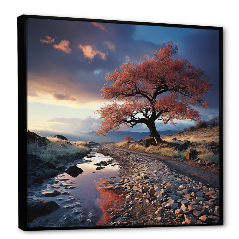 Arbre, arc-en-ciel, paysage d'hiver I, Cadre flottant noir, H 30 po x l 30 po x P 1 po