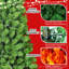 Arbre de Noël 6 pi-1625701620