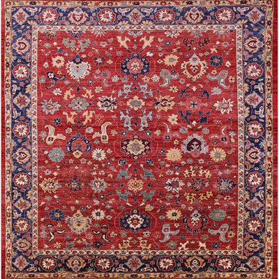 Oriental Indoor Rug