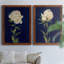 PRETTY AS A PEONY I - Ensemble de 2 reproductions de cadres photo sur toile-1201202781-1201202730