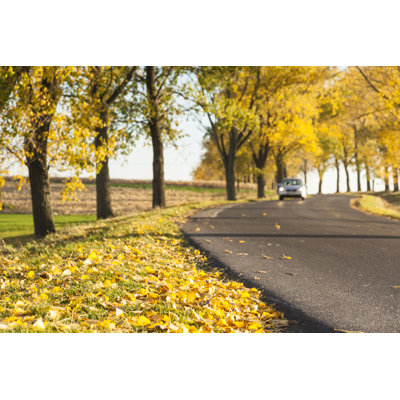 Road In Autumn by Brzozowska - No Frame Print on Canvas