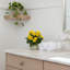 Begonia Floral Arrangement-1560274428-1520998629