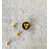 Carrara selected