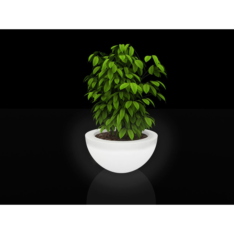 Pot à fleur en résine Sfera, H 11,75 po x l 23,5 po x P 23,5 po