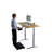 Uncaged Ergonomics Rise Up 48" x 30" Dual-Motor Electric Standing Desk - Height Adjustable Sit-Stand Desk with Memory Presets, Natural Bamboo Top, Gray Frame-1857793946-1820095520