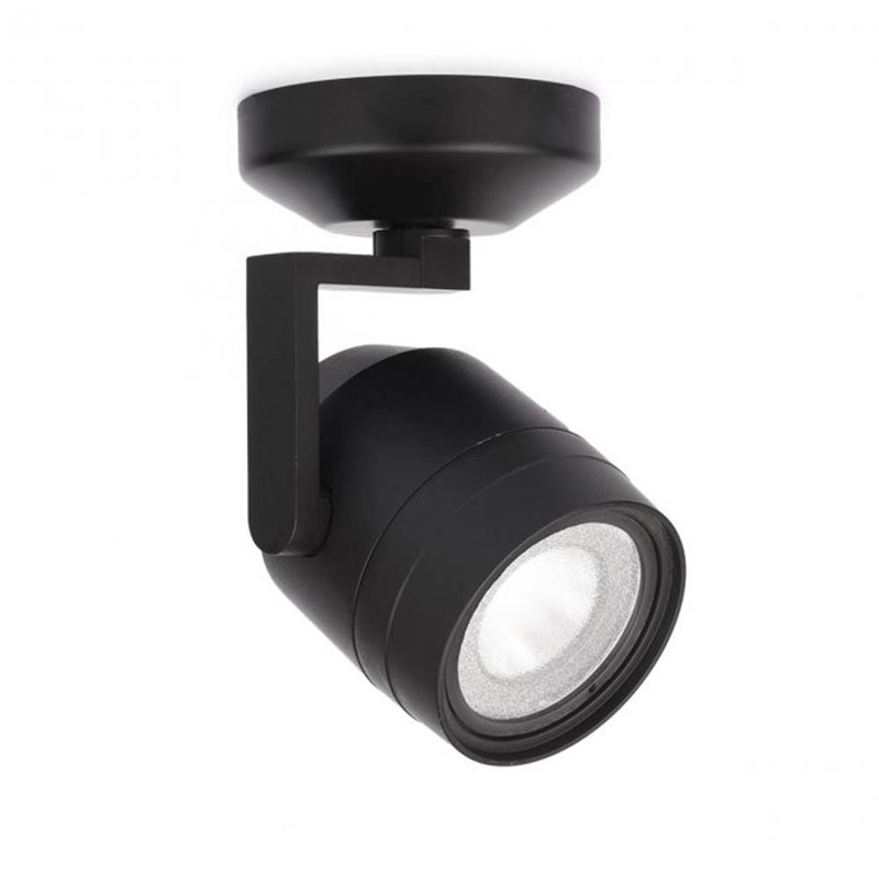 Paloma Track Head, 2700K/85, Black, Flood