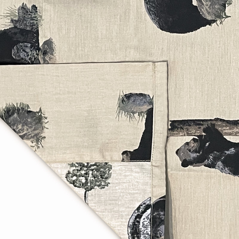 Ensemble de draps 100% coton The Bears The Bears, Très grand