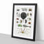 Crabs & Lobsters by Oliver Goldsmith - Picture Frame Painting Print-55510598-55510601