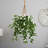 44 " H Faux Plant