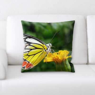 Coussin décoratif papillon