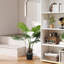 Faux Palm Tree in Pot-541601572