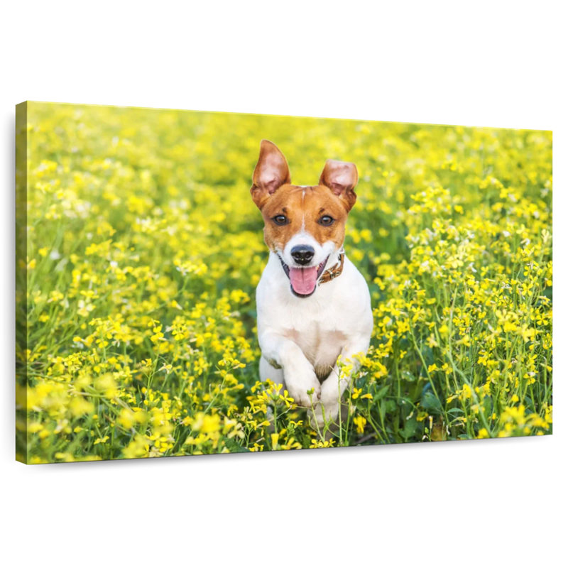 Happy Jack Russell, 20" H x 30" W