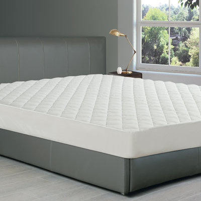 Kangley 1'' Mattress Pad