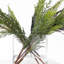 Real Touch Cedar & Branches Christmas Winter Holiday Water Illusion Arrangement in Modern Small Glass Rectangle Vase