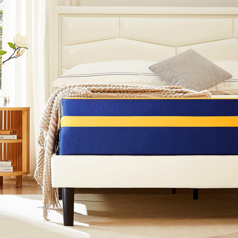 Britni 14'' Medium Memory Foam Mattress, Queen