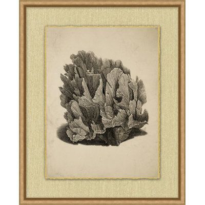Sepia Sealife " Sepia Sealife 6 "