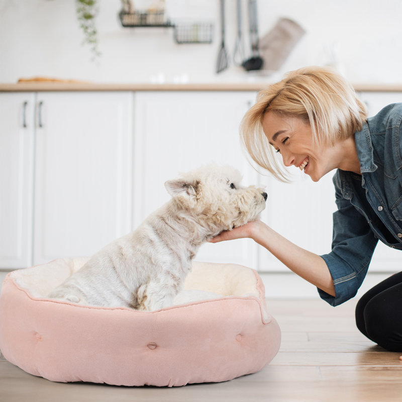 Lit rond pour chat, Petit (L 20 po x l 19 po), Rose
