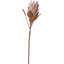 Mulberry Brown Dried Flower Bunch-119034007-119034006