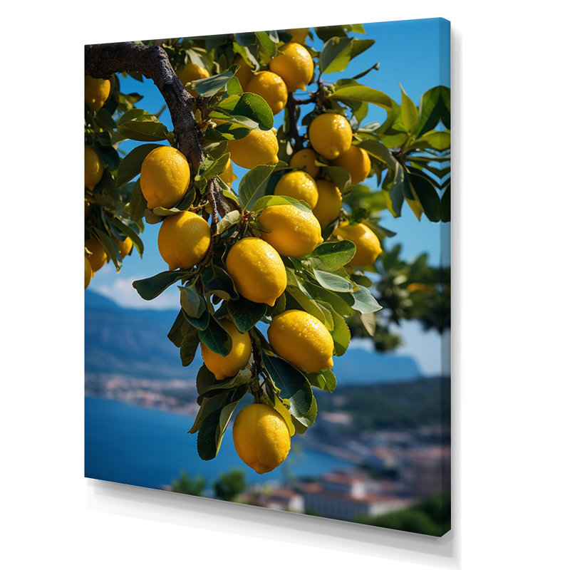 Italie Italie Sorrento Serenade II - impression, H 20 po x l 12 po x P 1 po, Toile tendue